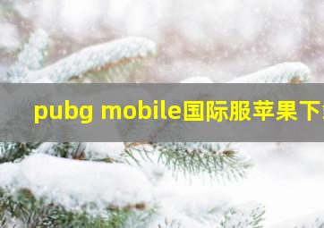 pubg mobile国际服苹果下载